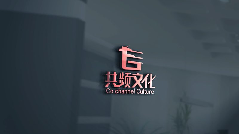 上海品牌设计公司案例解析：揭秘价格背后的考量
